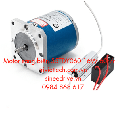 Motor sàng biên 55TDY060
